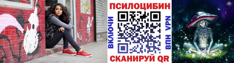 где найти Новая Ляля Псилоцибиновые грибы Cubensis